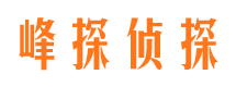 石嘴山市私家侦探